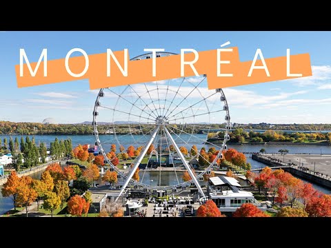 Expatriation à Montréal déjà 2 ans ✈️🇨🇦
