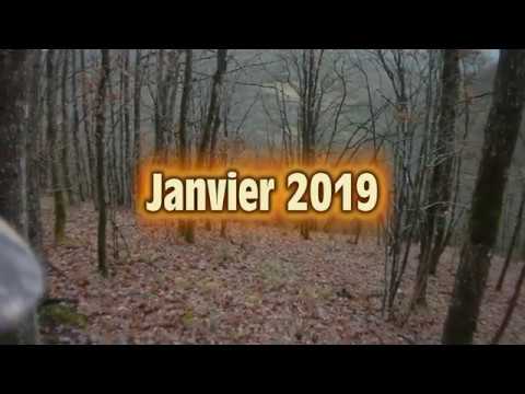 Janvier 2019: tir d'une biche et un daguet à 5m