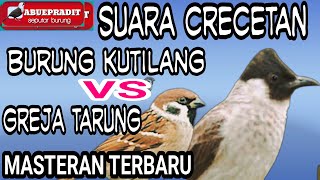 Download lagu CRECETAN KUTILANG PIKAT FOR MASTERS and the Sound of the Church Tarung Audio is Clear, Suitable mp3