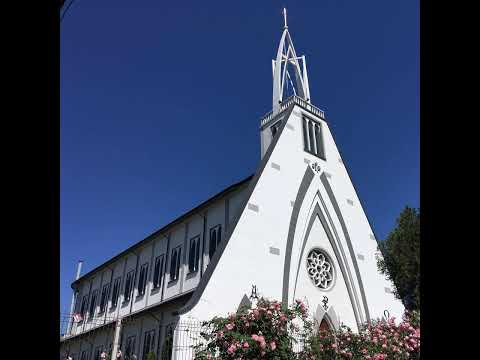 LIVE - Biserica Romano-Catolică "Preasfânta Inimă a lui Isus" - Nicolae Bălcescu