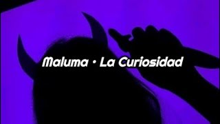 Maluma • La Curiosidad (letra)