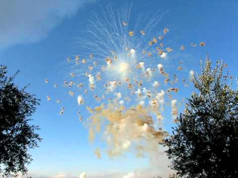 Rotello 2010 - Toscano