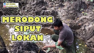 Merodong || Siput Lokan || Cakar Siput || Masuk Bakau || Langkawi