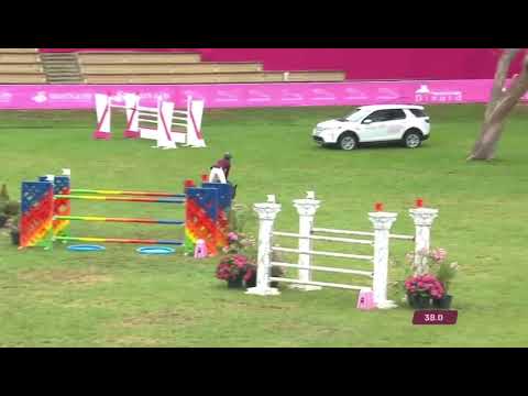 CANDY DE NANTUEL - father of MERCURY DES FLAGUES