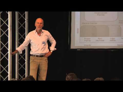 Grundlagen für ein gezieltes Faszientraining