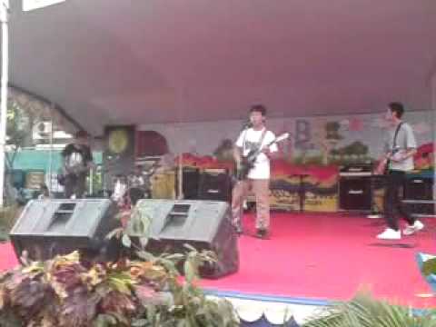 torpedoest - cynosure