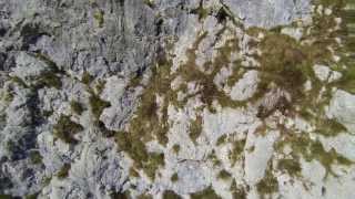 preview picture of video 'Climbing with Drone'