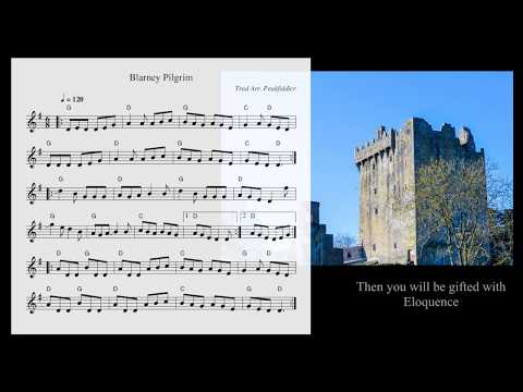 Irish Fiddle - A set of jigs to celebrate St Patrick's Day