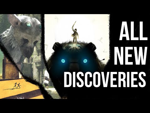 Undiscovered Secrets from Shadow of the Colossus (NEW 2025)
