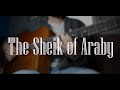 The Sheik of Araby - Moses Rosenberg inspired version