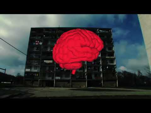 frateleNORD - Groapa cu păr