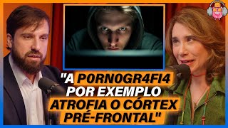 Áreas do cérebro & influências - Dr. Denis Birman