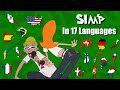 Phineas And Ferb SQUIRRELS IN MY PANTS SIMP Multilanguage