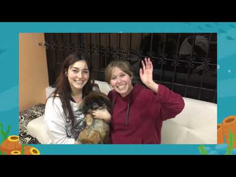 Colombia Aupair Maria Fernanda - EurAupair.