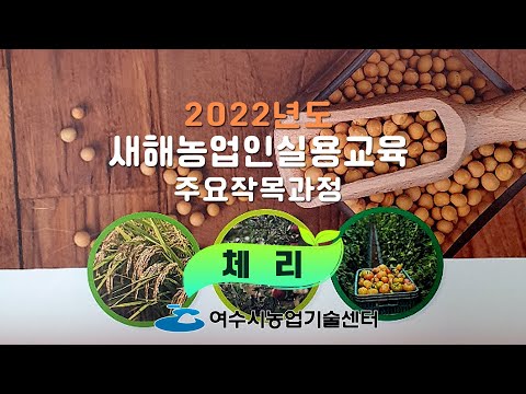 2022년도 새해농업인실용교육 – 체리