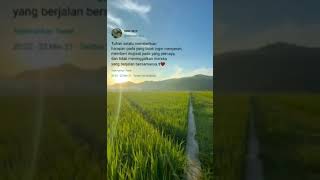 Download lagu story wa rohani kristen mp3 Download lagu story wa rohani kristen mp3