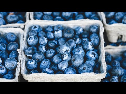 Max Lugavere's Genius Foods: 11 Foods For Better Brain Health