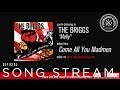 The Briggs - Molly (Official Audio)