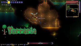 やってやるぜ！ド派手にな「だらだらテラリア」part8