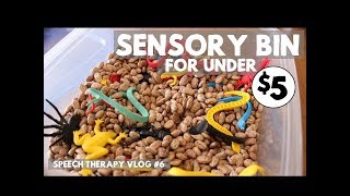 How to Make a Sensory Bin for Under $5 - Speech Therapy Vlog #6