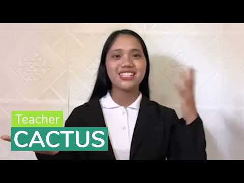 Cactusのプロフィール動画