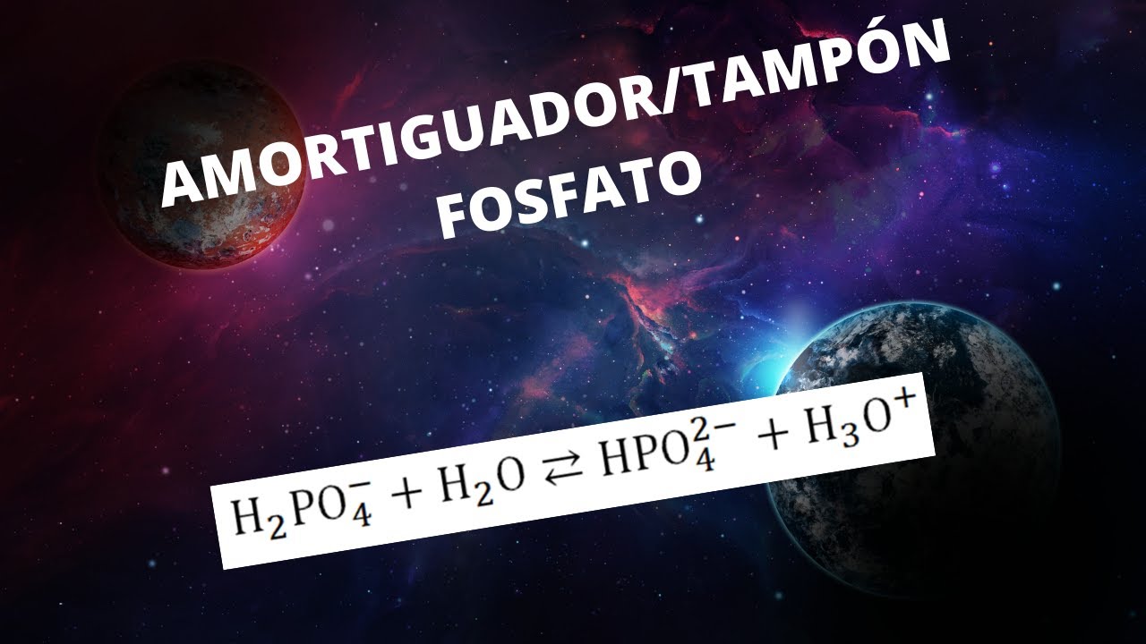 AMORTIGUADOR/TAMPON FOSFATO-BIOQUIMICA