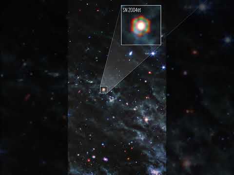 Two Dusty Type II Supernovae Studied By The James Webb Space Telescope