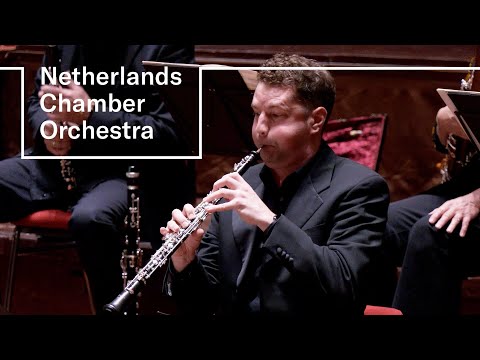 Bizet - Symphony no. 1 | Netherlands Chamber Orchestra | Gordan Nikolić | Concertgebouw, Amsterdam