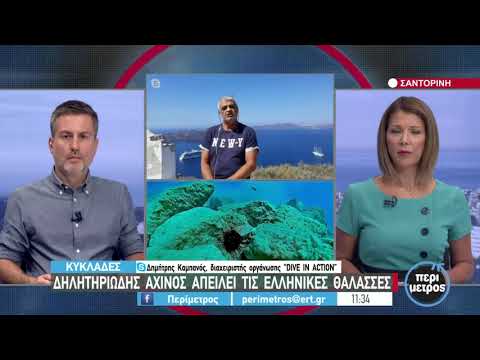 Δηλητηριώδης αχινός απειλεί τις ελληνικές θάλασσες μετά τις μέδουσες οι αχινοί | 1/9/2021 | ΕΡΤ