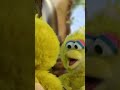 Who S That Baby Big Bird Looking In The Mirror Sesamestreet