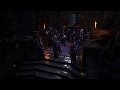 Baldur's Gate 3 - 16 Barbarians Visit Viconia