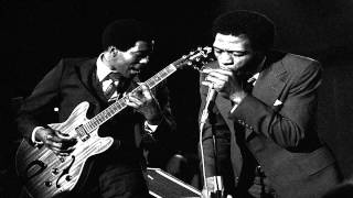 Junior Wells - In the Wee Hours