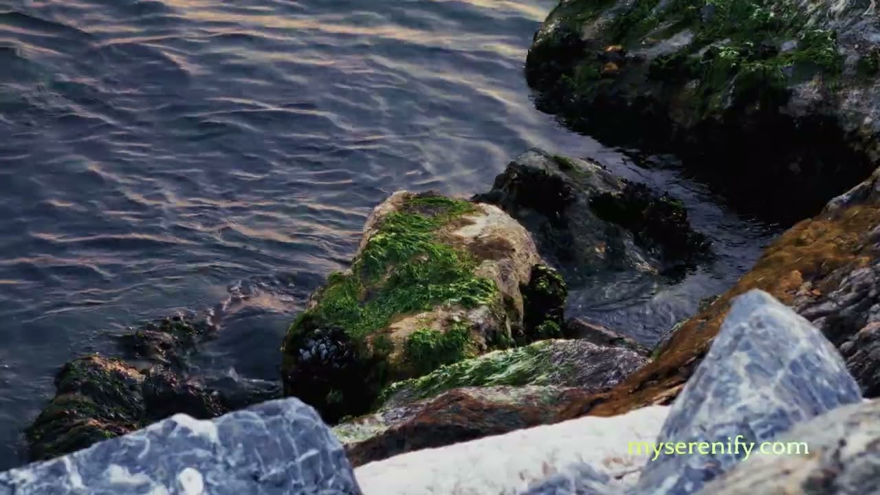 Exploring SAI Meditation Music: A Journey into AI-Generated Soundscapes, sai meditation music