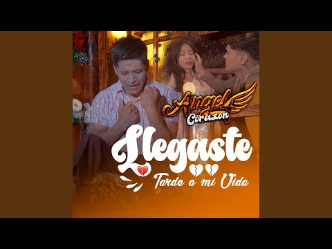 Llegaste tarde a mi vida