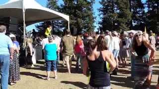 Unauthorized Rolling Stones: &quot;(I&#39;m a) King Bee&quot;