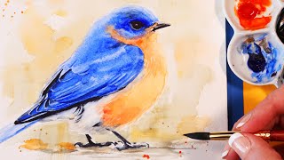 Watercolor Bird Tutorial for Beginners - How to Paint a Bluebird