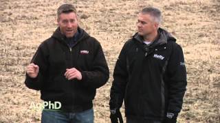 Weed of the Week #936 Puncturevine (Air Date 3/13/16)