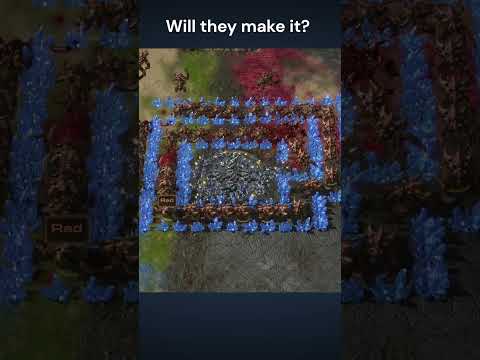 Queuing for fun... #gaming #rts #starcraft2