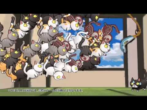 Han-Neko the mysterious cat Video