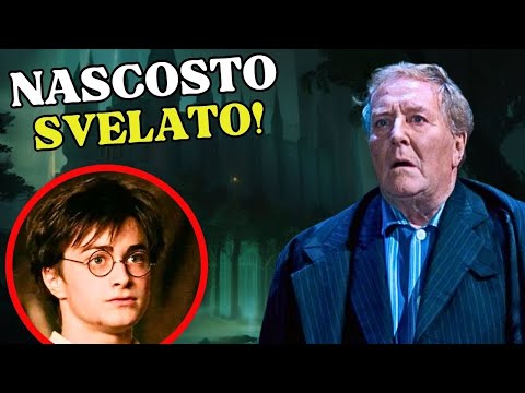 Harry Potter Differenze Segrete tra il Libro e il Film