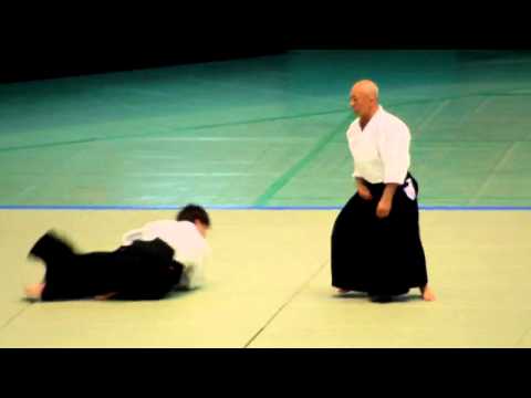 51st All Japan Aikido Demo, Shihan Demonstration