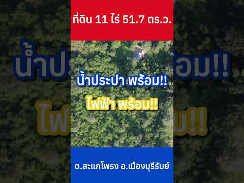 Land documents, rights, deeds, red deeds, total area 11-0-51.7 rai – รูปที่ 2
