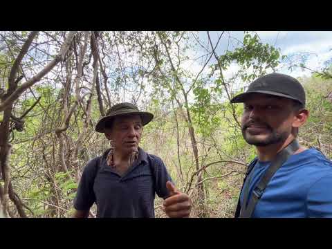 Pedro II guarda um tesouro: a única mina de opala do Brasil