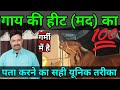 गाय हिट मद गर्मी में है 100 कैसे पता करें 