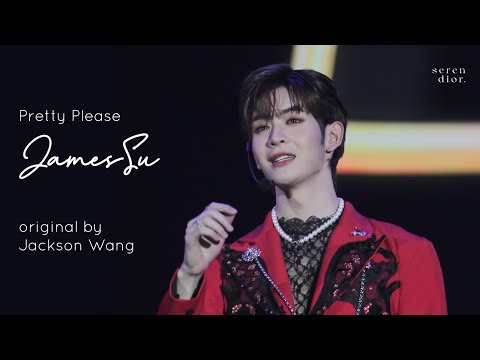 220619 DMD LAND Concert - Pretty Please cover by JamesSu (original by JacksonWang)