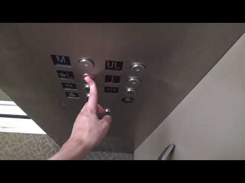 Pine State Hydraulic Elevator @ LL Bean Flagship Store Freeport ME