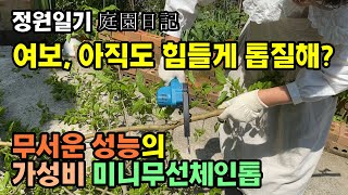 (정원일기) 대륙의 실수 가성비 무선 체인톱 실사용 리뷰