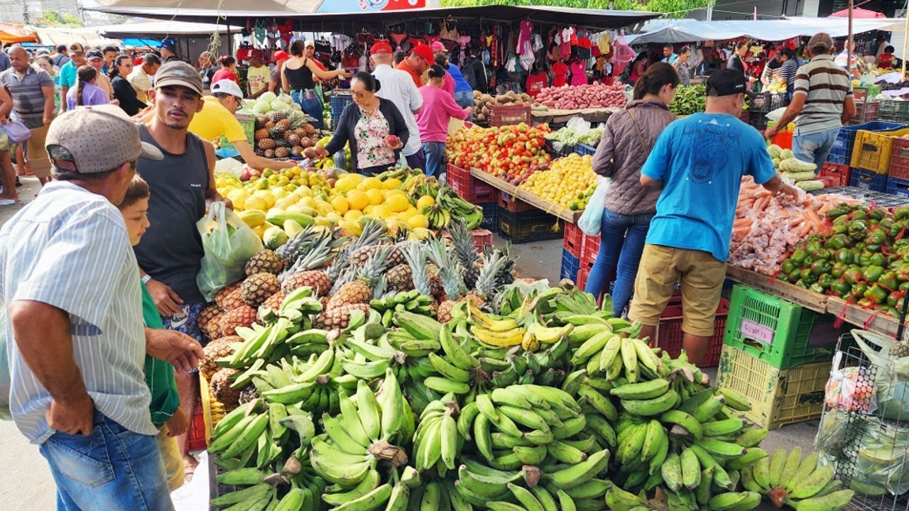 CARNE DE 15 REAIS, FARTURA E CUSTO DE VIDA BAIXO SÓ NO NORDESTE!