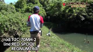 スペード&ハートジグT(ストレートラバーVer.）解説