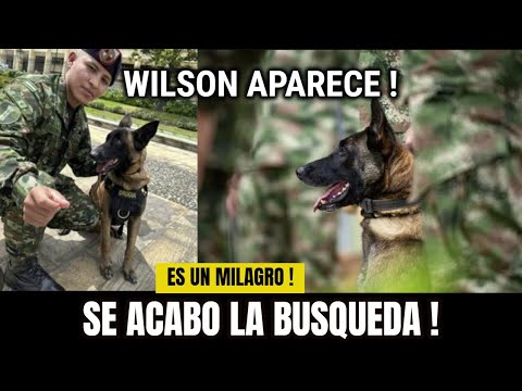 🚨URGENTE ! 🚨 APARECIO HOY "Wilson el Perro Perdido" Aparecio en la Selva Video Completo Hoy !